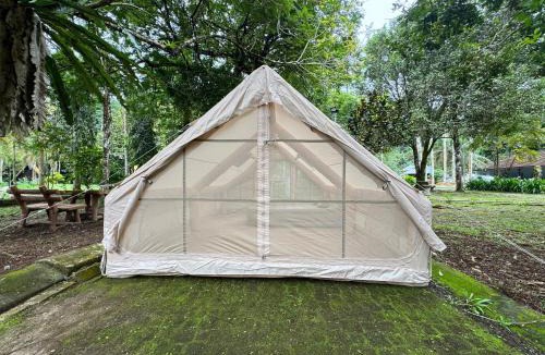Tapah Other | Glamping