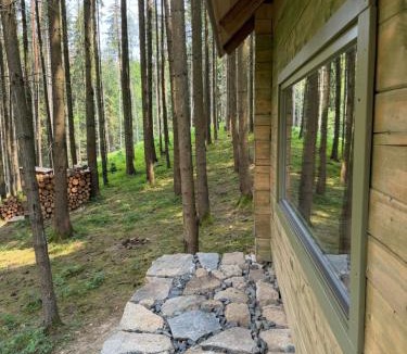 Radic Other | Glamping Olivia v lese