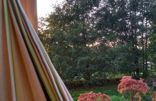 Waldmuenchen House | Glamping: relaxation in a circus wagon