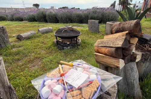 Texcoco de Mora Other | Glamping Rincón de Lavanda