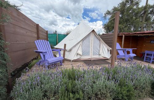 Texcoco de Mora Other | Glamping Rincón de Lavanda
