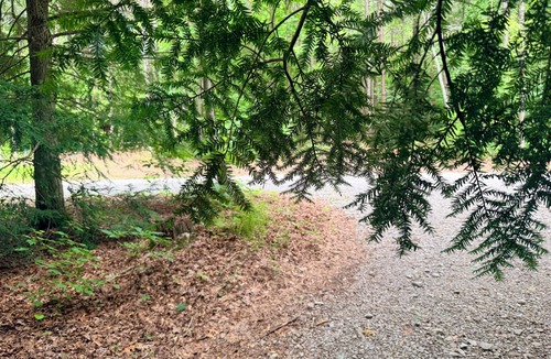 Beersheba Springs RV Rental | Glamping Yurt with AC at Greeter Falls Campground
