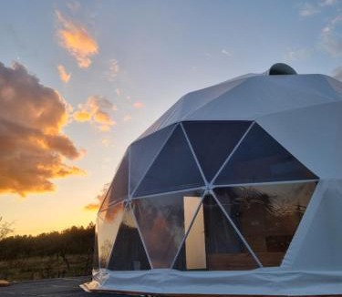Mihaesti Other | GlampingDenis Igloo