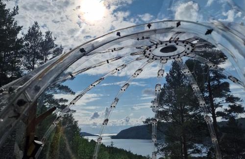 Rissa Other | Glassigloo med panoramautsikt - Nordlys og stjernehimmel - Fosen
