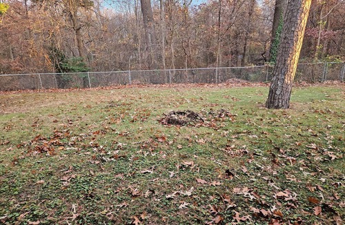Glen Burnie House | Glen Burnie Hideaway - Pet friendly with easy access to multiple attractions.
