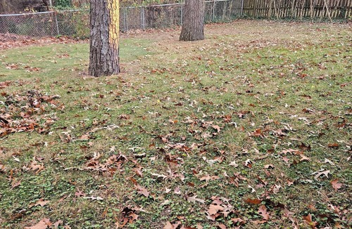 Glen Burnie House | Glen Burnie Hideaway - Pet friendly with easy access to multiple attractions.