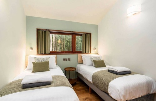 Peebles Cabin | Glentress Forest Golden Oak Treehouse, Peebles