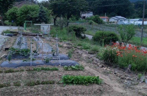Goesan House | Goesan Byeolbitsanmagi Pension