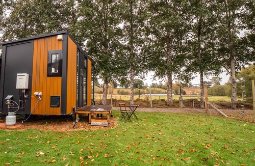 Lawrence House | Gold Nugget 1 by Tiny Away
