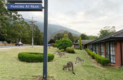 Halls Gap Hotel | Golden Chain Country Plaza Motel Halls Gap