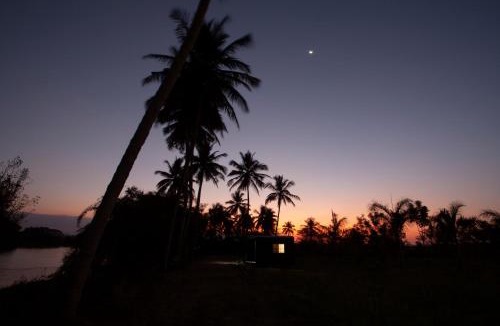 Siddhartha Nagar Other | Golden Triangle River side Cabin