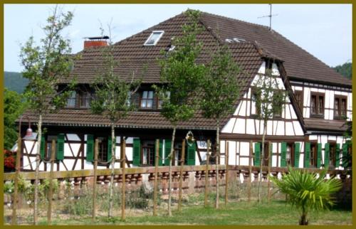 Laudenbach Hotel | Goldner Engel, Restaurant - Hotel - Metzgerei