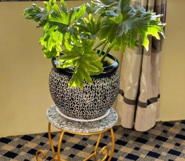 Burhanilkantha Apartment | golfutar suits