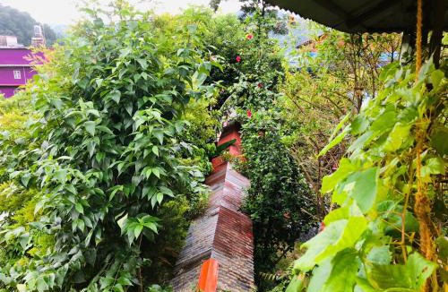 Pokhara Hostel | Goodday Backpackers