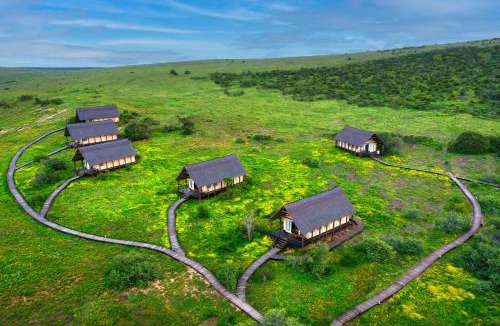 Addo Other | Gorah Elephant Camp