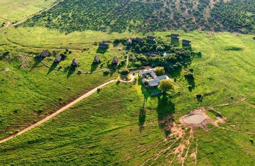 Addo Other | Gorah Elephant Camp