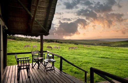 Addo Other | Gorah Elephant Camp