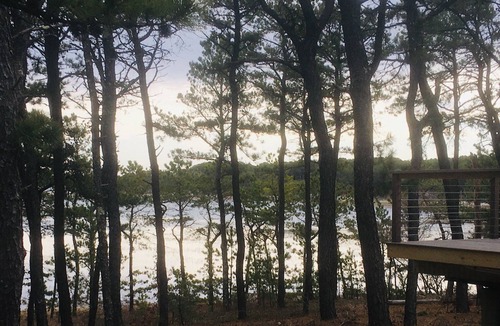 Indian Neck Heights House | Gorgeous 2BR, Secluded, Tidal Marsh Views, Walk to Water, Decks, Outdoor Shower