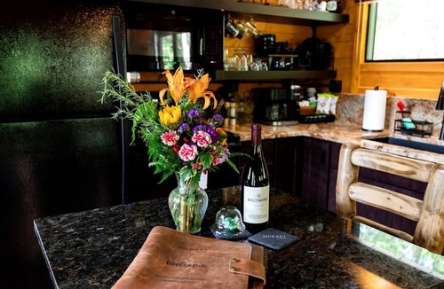 Brevard Cabin | Gorgeous Adults-Only Cabin with Hot Tub and Outdoor Fire Table, Perfect for a Romantic Escape in North Carolina