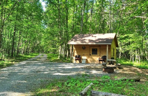 Crellin House | Gorgeous Cabin Rental for a Getaway near Oakland, Maryland