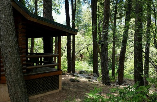 Payson Cabin | Gorgeous Full-Log Cabin in the Pines directly on Tonto Creek