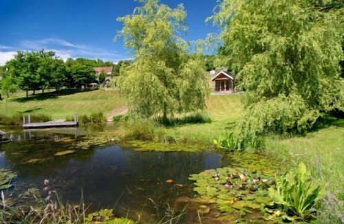 Vobster Apartment | Gorgeous Studio with fast wifi on 55 acres ❤️