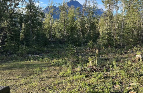 Butte Cabin | Gorgeous Tiny home with stunning views. Access to Alaskas most renowned hiking