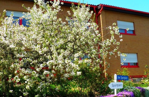 Gorxheimertal Apartment | Gorxheimertal holiday apartment on the sports field - Groxheimertal holiday apartment on the sports field