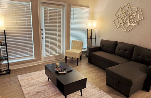 Astrodome Apartment | Gothic Blush King 2Bed near Texas Medical Center & in front of NRG Stadium
