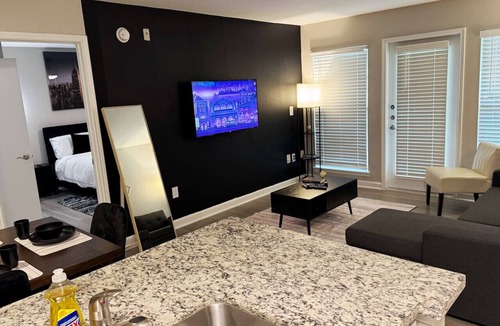 Astrodome Apartment | Gothic Blush King 2Bed near Texas Medical Center & in front of NRG Stadium