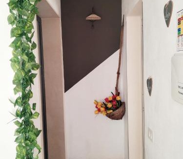 Avola House | Grace Home