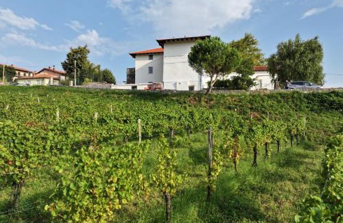 Kojsko Bed & Breakfast | Grad Kojsko