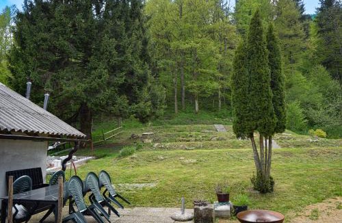 Kocevje Other | Grajski kamp - pitch your own tent
