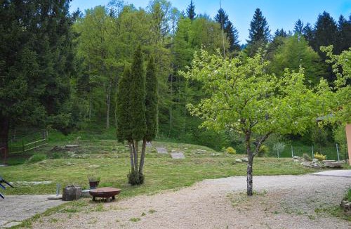 Kocevje Other | Grajski kamp - pitch your own tent