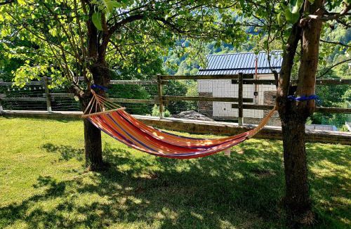 Alpette Apartment | Gran Paradiso