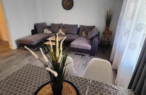 Saint-Martin Apartment | Grand F3 lumineux 55 m proche centre, plages, balcon, clim