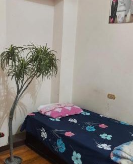 Downtown Cairo Hostel | Grand Safari Hostel