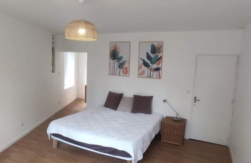 Courpiere Apartment | Grand Studio Meublé au Grand Calme