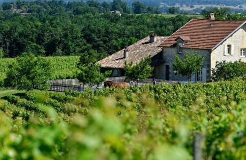 Saussignac House | Grande maison de campagne avec piscine privée et animaux admis - FR-1-616-128