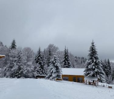Bistrita Bargaului Ski Chalet | Granero Colibita