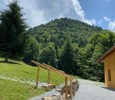 Bistrita Bargaului Ski Chalet | Granero Colibita