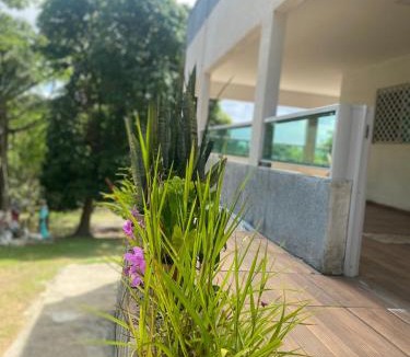Nova Cruz House | Granja Vale das Águas