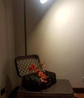 Lucca Historical Center Apartment | Granny's house