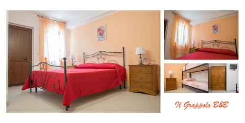 Ascea Bed & Breakfast | Grappolo B&B affittacamere