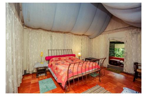 Pinangode Other | Grassroots Wayanad, Valley-view Tents