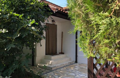 Vadu House | Grauri si Smochini