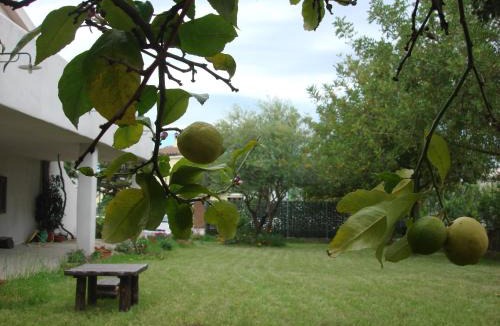 Galtelli Bed & Breakfast | Grazia Deledda