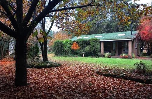 Underberg Apartment | Great Dane at Brittlewood