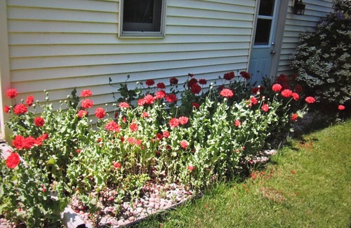 Sturgeon Bay Apartment | Great Getaway with Lots of Comfort and Charm!