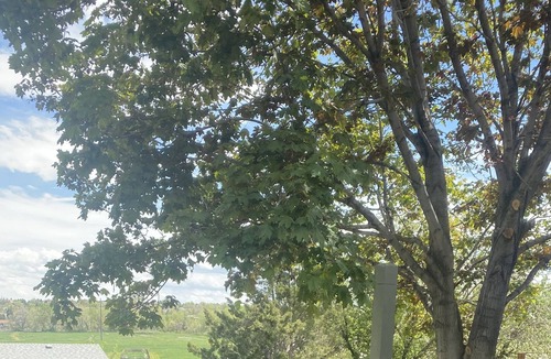 Morrison House | Great house located 10 minutes from red rocks amphitheater